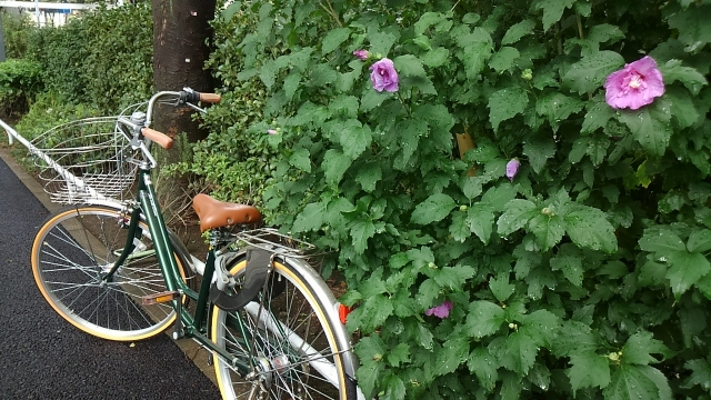 雨の中の自転車