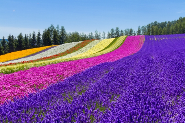 北海道