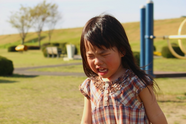 うちの旦那は娘を公園に連れていって、驚かせて転ばせて泣かせているのが許せませません！