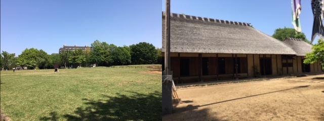 博物館に飽きたお子さんも大塚歳勝土遺跡公園に直結でアクティブにも楽しめます♪