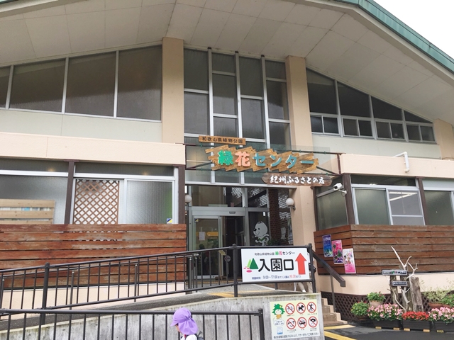 和歌山県 緑化センターは入場無料で四季折々のお花が楽しめる癒やしスポットです 和歌山県 緑化センターは入場無料で四季折々のお花が楽しめる癒やしスポットです