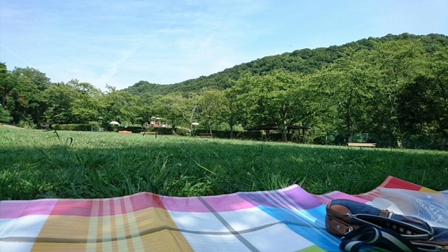 和歌山県緑化センターにある芝生では、シートを広げてお弁当を食べるのに最適な場所です。