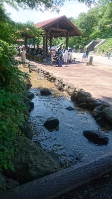 こどもの国で食べるバーベキューは、小さな川の側で食べるお肉は最高です。