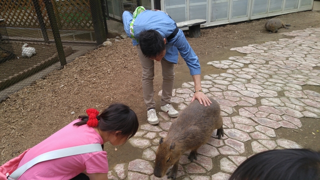 サユリワールドでは動物に触れ合えるので、最初は怖がっていた子供もすぐに楽しんで餌やりできるようになります。