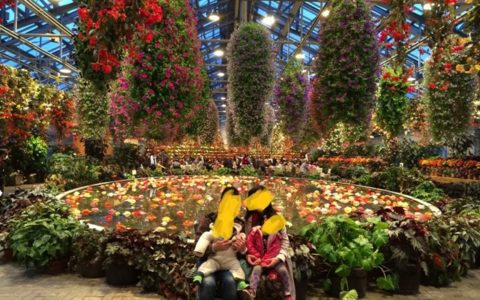 なばなの里ではお花に囲まれて自然と笑顔が溢れます。
